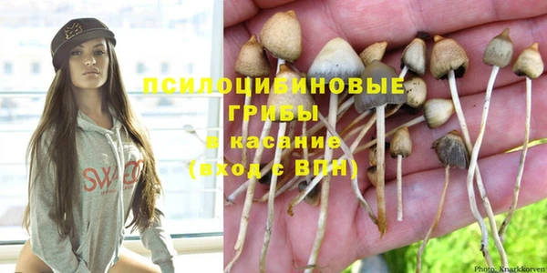 спиды Няндома