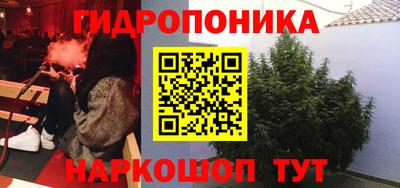 стаф Бийск