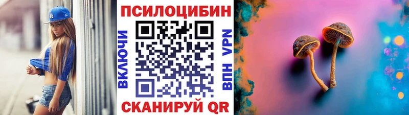 площадка телеграм Дербент Галлюциногенные грибы Psilocybe