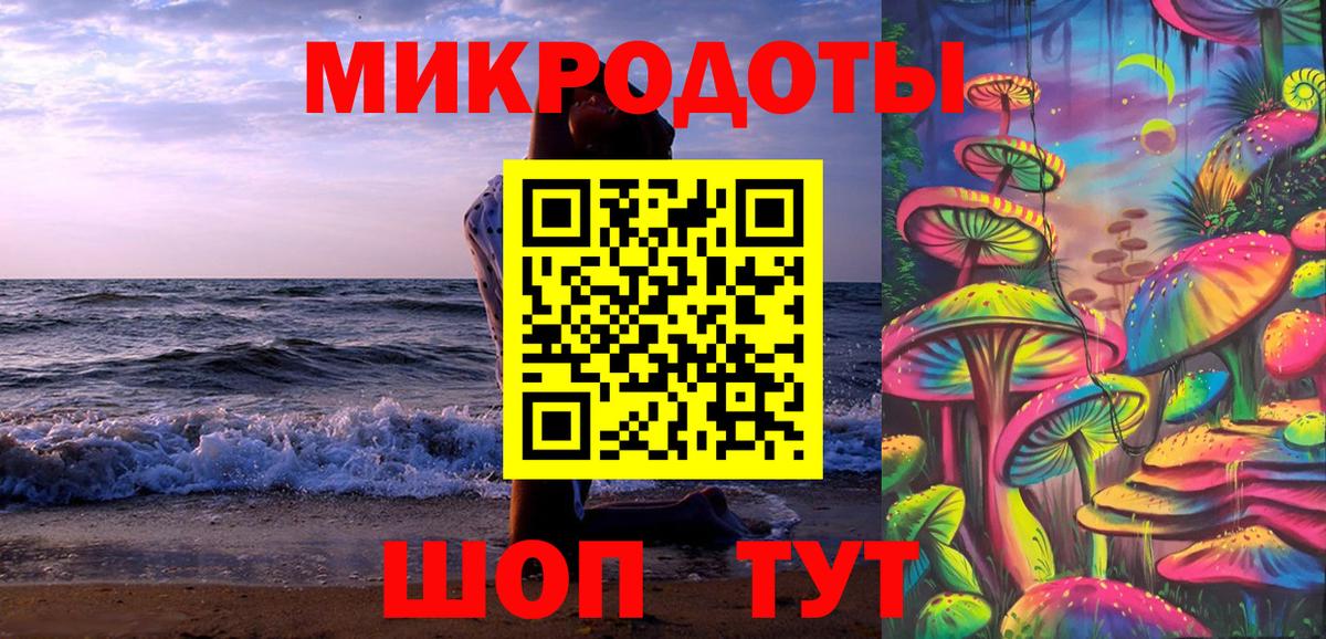 Псилоцибиновые грибы Cubensis Дербент