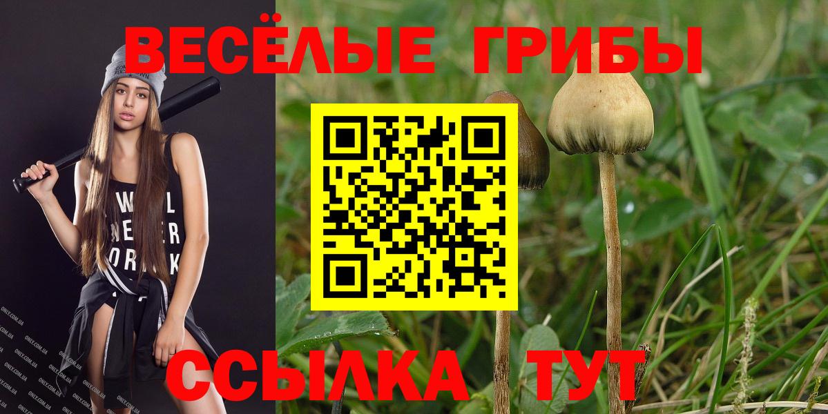 Псилоцибиновые грибы Magic Shrooms  Дербент 